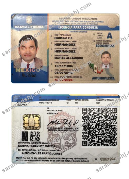 Mexico Baja California state driving license